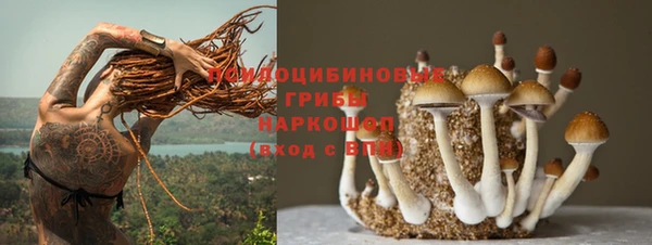 гашик Майский
