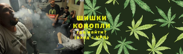 гашик Майский
