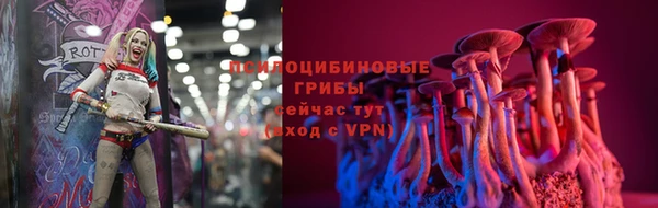 стаф Магадан
