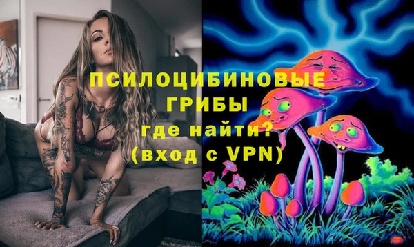 стаф Магадан