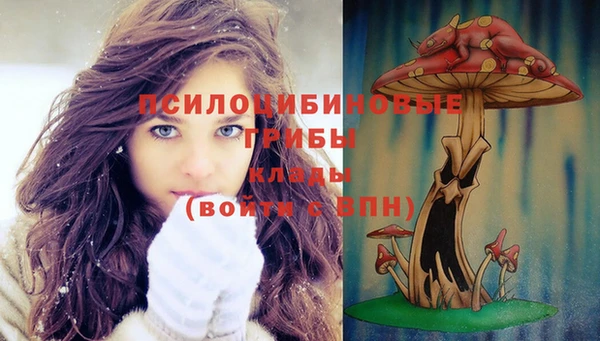 гашик Майский