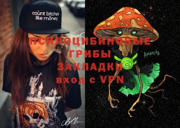 гашик Майский