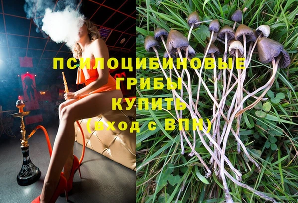 гашик Майский